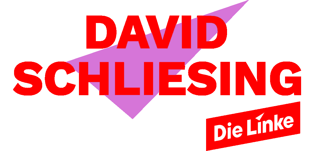 David Schliesing